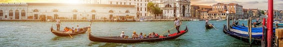 venice tours banner